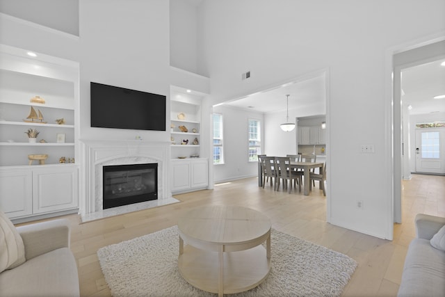 132 Fresh Meadow Ln, Mount Pleasant, SC 29466 - living area with light wood-style floors, healthy amount of natural light, built in features, and a towering ceiling