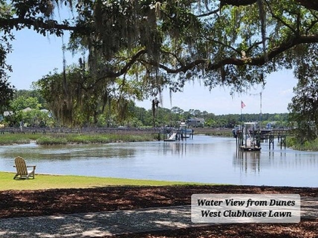 132 Fresh Meadow Ln, Mount Pleasant, SC 29466 - dock featuring a water view