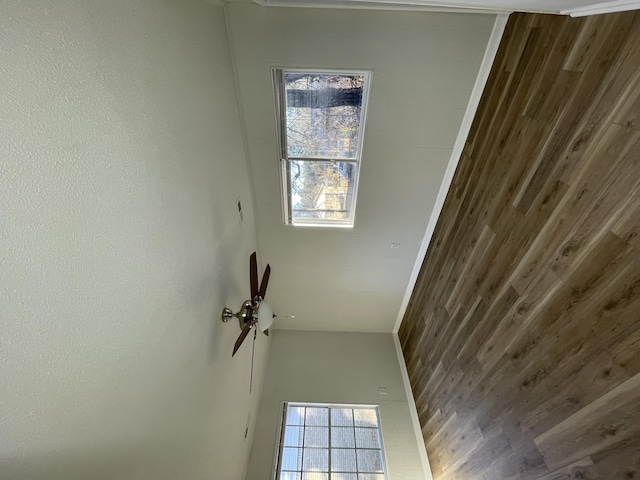 spare room with wooden walls, ceiling fan, and plenty of natural light