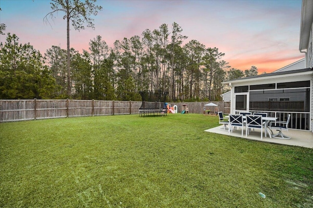 217 Lucca Dr, Summerville, SC 29486 - yard at dusk featuring a trampoline, a fenced backyard, a patio, and a playground