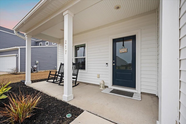 217 Lucca Dr, Summerville, SC 29486 - property entrance featuring a porch