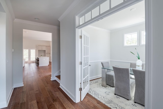 office space featuring crown molding, plenty of natural light, and dark wood-type flooring