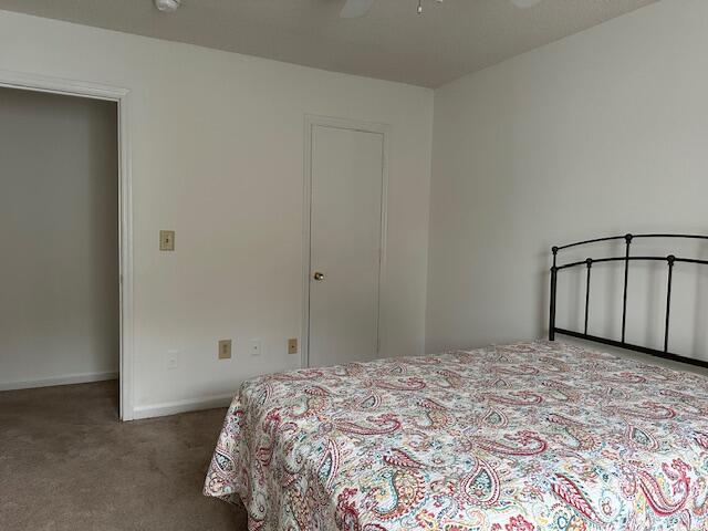 bedroom featuring ceiling fan and carpet floors