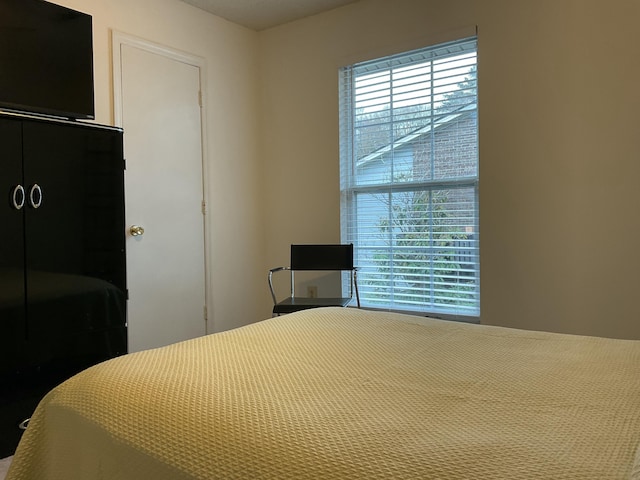 bedroom with multiple windows