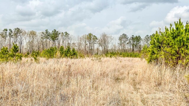 0 S Locust, Denmark, SC 29042