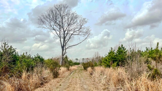 0 S Locust, Denmark, SC 29042