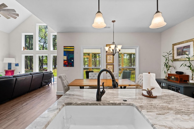 kitchen featuring a sink, open floor plan, plenty of natural light, and wood finished floors