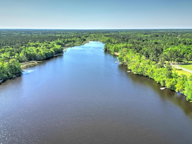 drone / aerial view with a view of trees and a water view