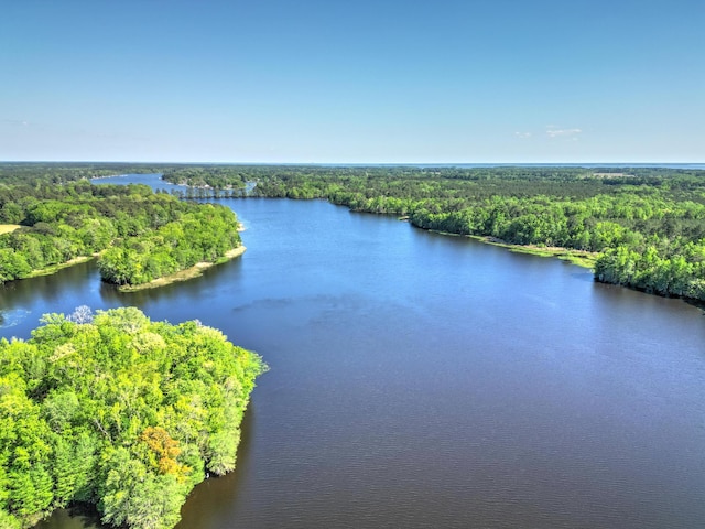 drone / aerial view with a water view and a view of trees
