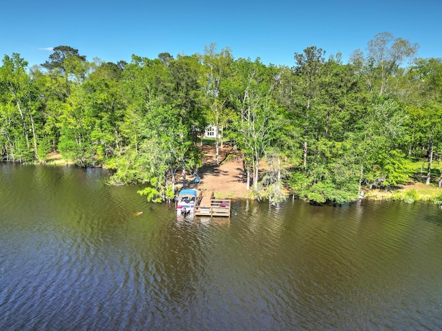 drone / aerial view with a water view and a wooded view