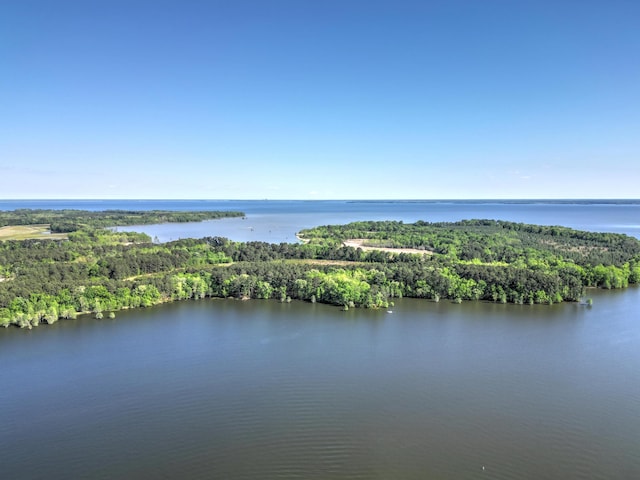 bird's eye view with a water view and a forest view