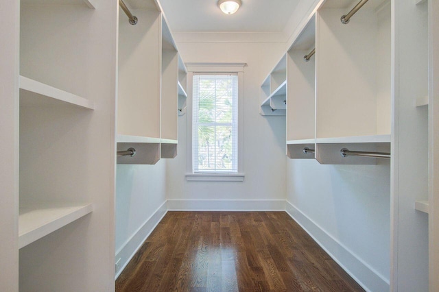 walk in closet featuring dark hardwood / wood-style floors