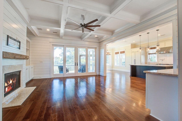 unfurnished living room with dark hardwood / wood-style floors, a fireplace, and a wealth of natural light