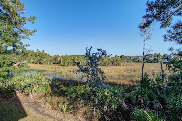 view of nature featuring a water view and a rural view