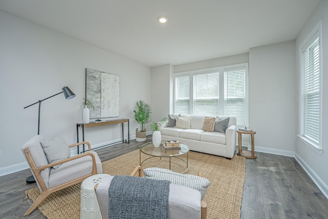 living room featuring dark hardwood / wood-style floors