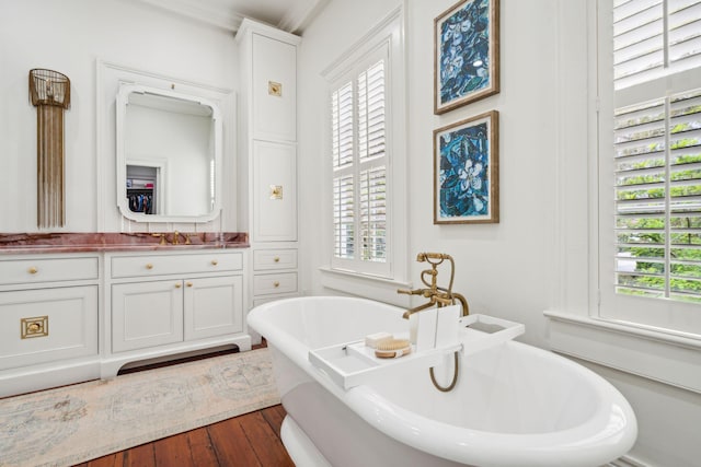 bathroom with hardwood / wood-style flooring, a washtub, a healthy amount of sunlight, and vanity