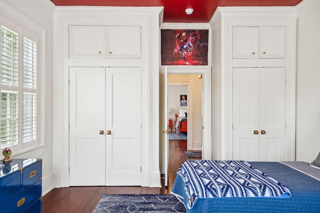 bedroom with multiple windows, a closet, and dark hardwood / wood-style flooring