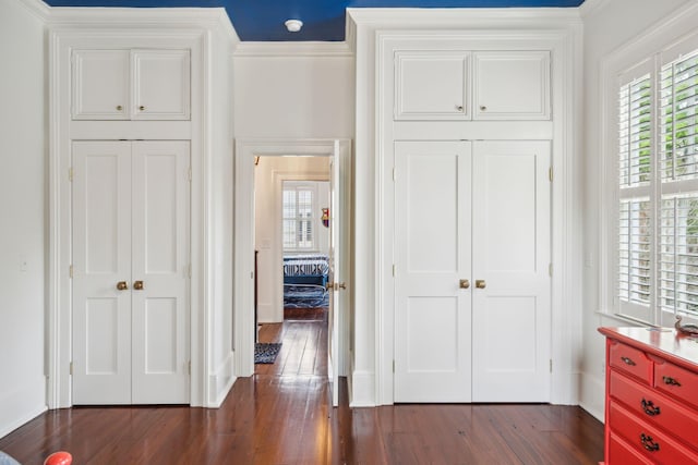 interior space featuring dark hardwood / wood-style flooring, a closet, and crown molding