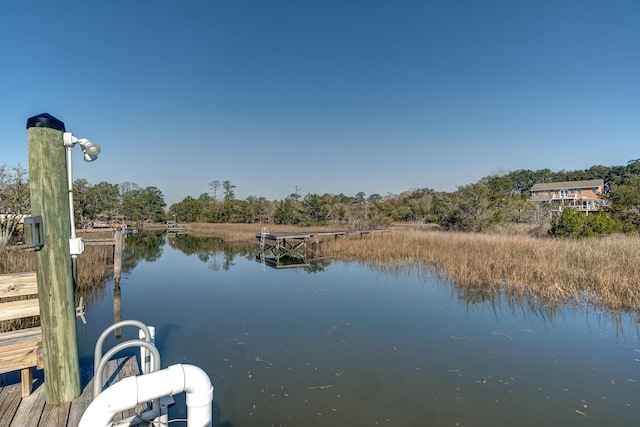 dock area with a water view