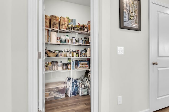681 Mclernon Trce, Johns Island, SC 29455 - view of pantry