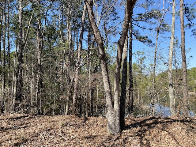 view of landscape featuring a wooded view