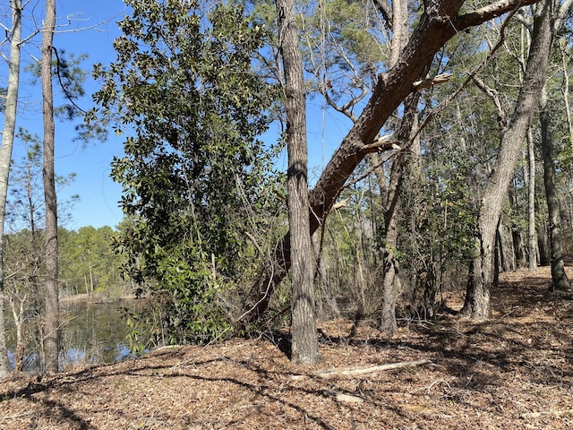 view of local wilderness with a wooded view