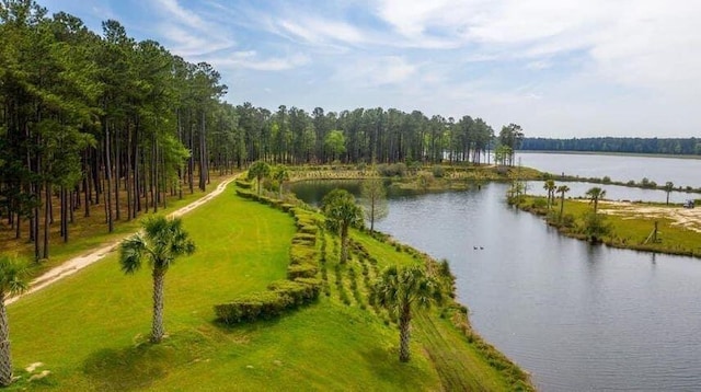 view of water feature