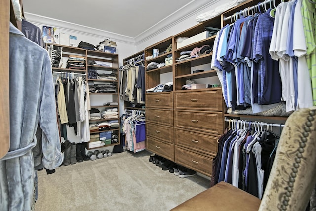 walk in closet with light carpet