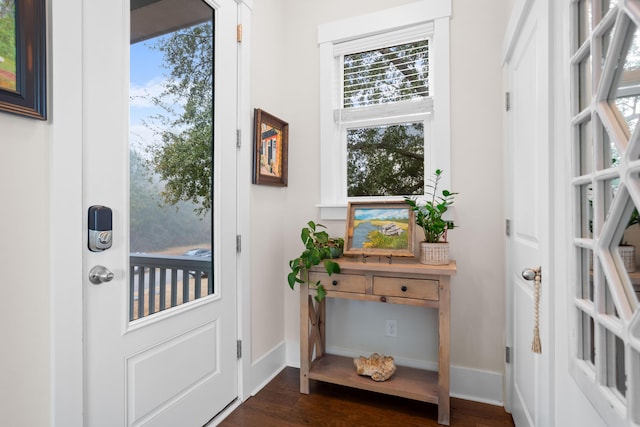 doorway to outside featuring dark wood-type flooring