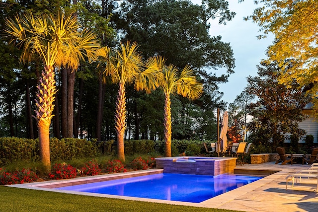 11 Dalton St, Daniel Island, SC 29492 - swimming pool with an in-ground hot tub and a patio area