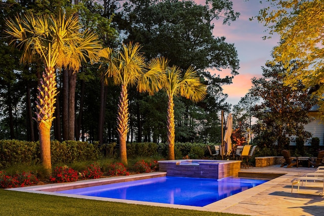 11 Dalton St, Daniel Island, SC 29492 - outdoor pool featuring an in-ground hot tub and a patio area