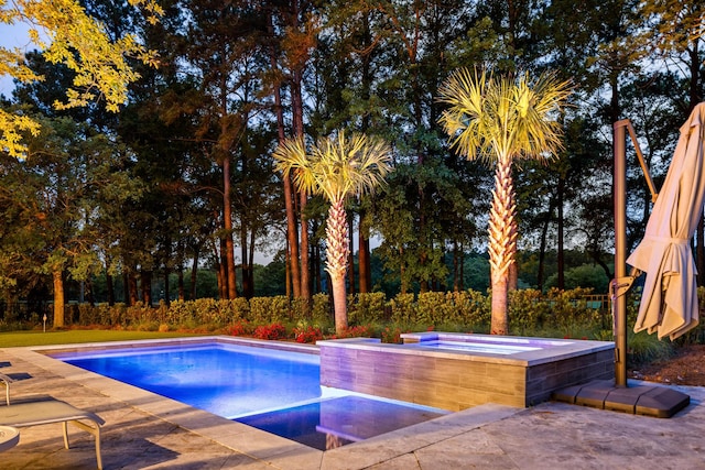 11 Dalton St, Daniel Island, SC 29492 - view of swimming pool featuring a patio, a pool with connected hot tub, and view of scattered trees