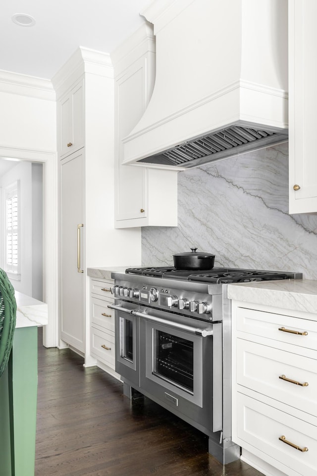 11 Dalton St, Daniel Island, SC 29492 - kitchen with custom range hood, double oven range, tasteful backsplash, and light stone countertops