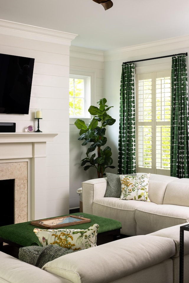 11 Dalton St, Daniel Island, SC 29492 - living room featuring crown molding and a premium fireplace