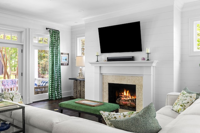 11 Dalton St, Daniel Island, SC 29492 - living area with wood finished floors, a high end fireplace, and crown molding