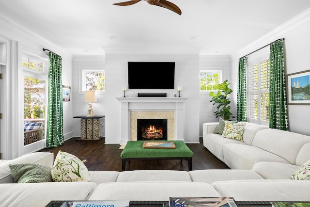 11 Dalton St, Daniel Island, SC 29492 - living room featuring crown molding, ceiling fan, wood finished floors, and a lit fireplace