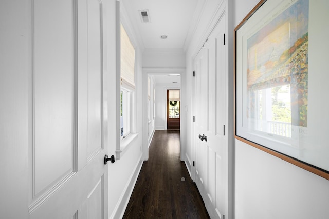 11 Dalton St, Daniel Island, SC 29492 - hall featuring dark wood-style flooring and crown molding