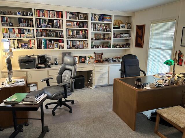 carpeted home office with a healthy amount of sunlight
