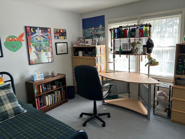 view of carpeted home office