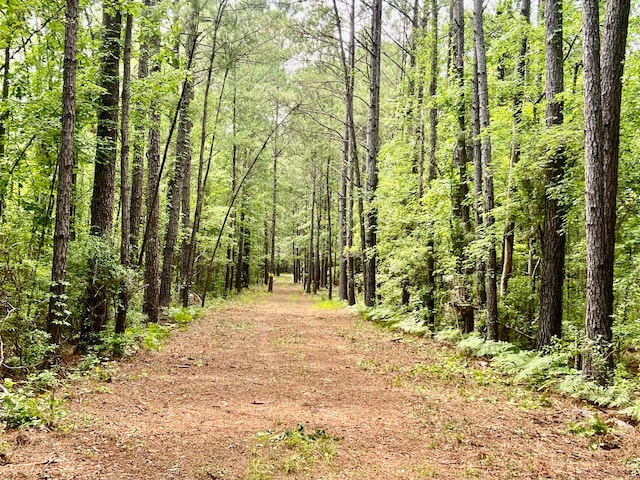 2 Becky Ln, Yemassee SC, 29945 land for sale