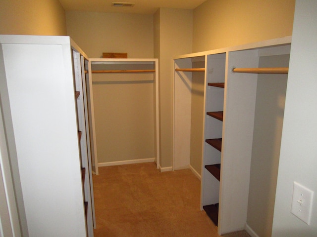 spacious closet with light colored carpet