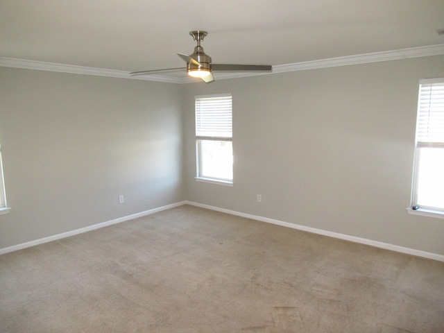 carpeted spare room with ceiling fan and ornamental molding