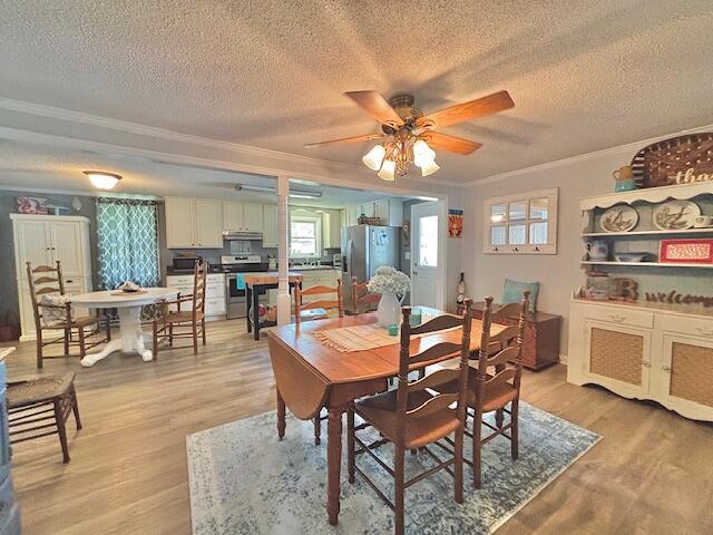dining space with crown molding, a textured ceiling, a ceiling fan, and light wood-style floors