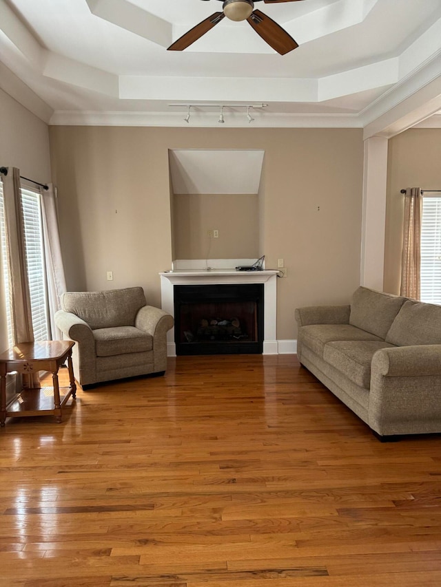 living room with hardwood / wood-style flooring, ceiling fan, a raised ceiling, and track lighting