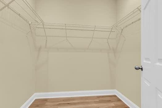 350 Cypress Walk Way, Wando, SC 29492 - spacious closet featuring light wood-style floors