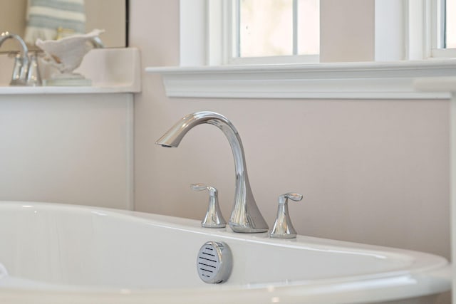 782 Clay Field Trl, Summerville, SC 29485 - details featuring a freestanding tub and a sink