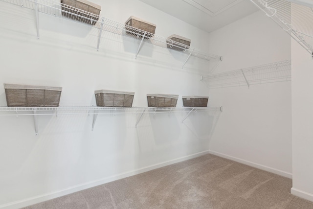 782 Clay Field Trl, Summerville, SC 29485 - spacious closet featuring carpet floors