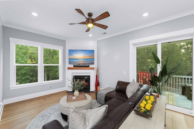 living room featuring ornamental molding, light hardwood / wood-style flooring, and ceiling fan