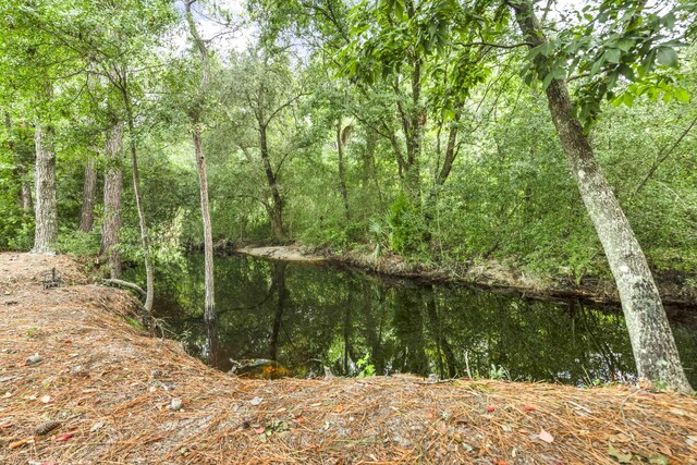 view of landscape with a water view