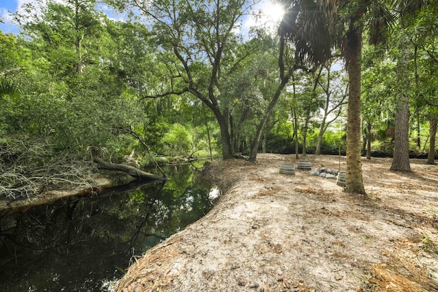 view of nature